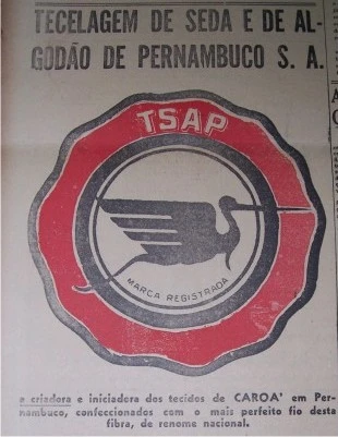 Origem Escudo do Íbis