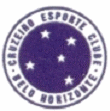 Cruzeiro EC, de Belo Horizonte (MG)