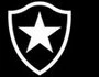 Botafogo de Futebol e Regatas