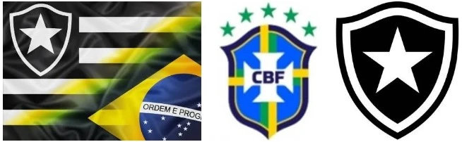 Jogadores do Botafogo na Copa America